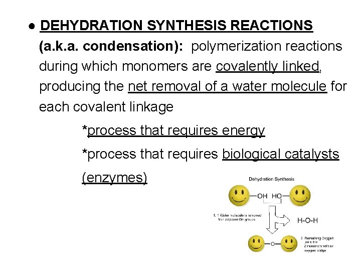 ● DEHYDRATION SYNTHESIS REACTIONS (a. k. a. condensation): polymerization reactions during which monomers are