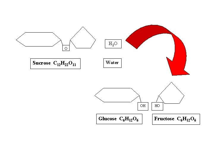 O Sucrose C 12 H 22 O 11 H 2 O Water OH Glucose