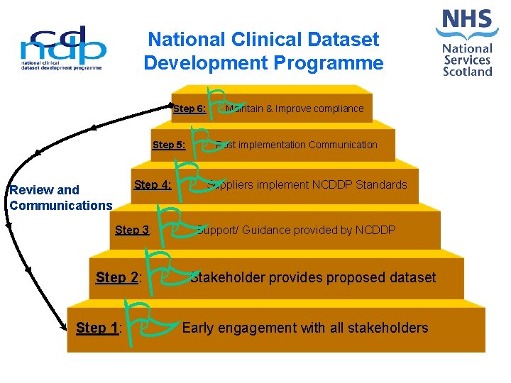 National Clinical Dataset Development Programme P P Step 6: Step 5: Post implementation Communication