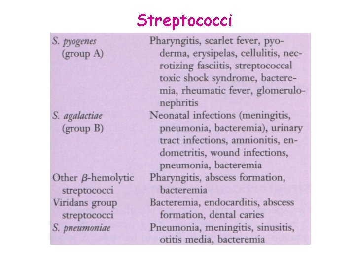 Streptococci 