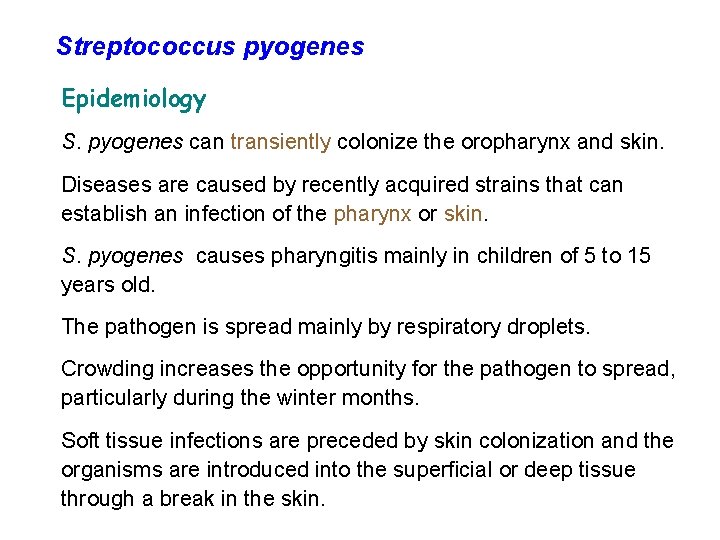 Streptococcus pyogenes Epidemiology S. pyogenes can transiently colonize the oropharynx and skin. Diseases are