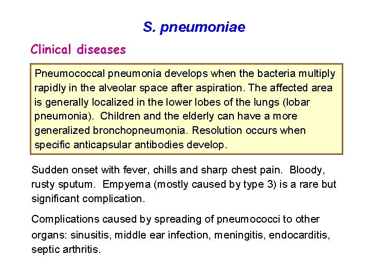 S. pneumoniae Clinical diseases Pneumococcal pneumonia develops when the bacteria multiply rapidly in the