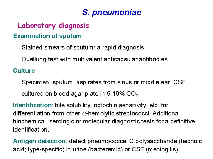 S. pneumoniae Laboratory diagnosis Examination of sputum Stained smears of sputum: a rapid diagnosis.