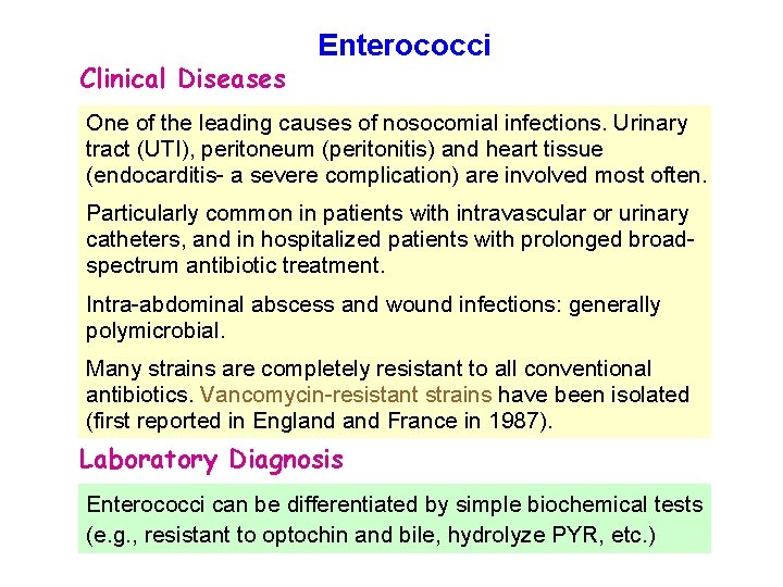 Clinical Diseases Enterococci One of the leading causes of nosocomial infections. Urinary tract (UTI),