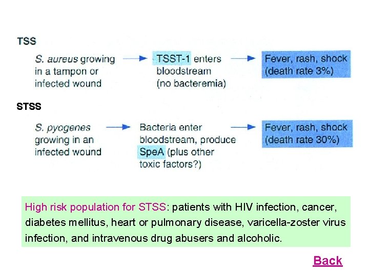 STSS High risk population for STSS: patients with HIV infection, cancer, diabetes mellitus, heart