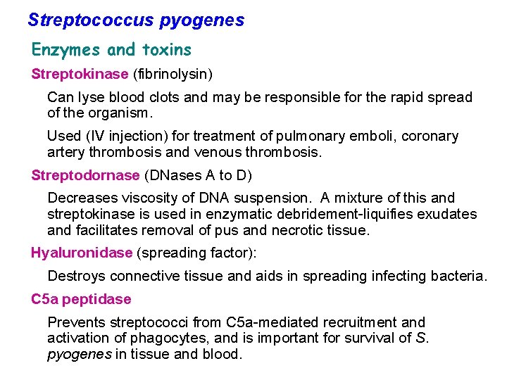 Streptococcus pyogenes Enzymes and toxins Streptokinase (fibrinolysin) Can lyse blood clots and may be