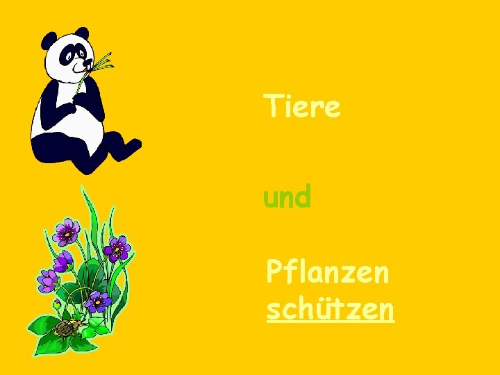 Tiere und Pflanzen schützen 