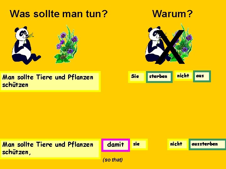 Was sollte man tun? Man sollte Tiere und Pflanzen schützen, Warum? Sie damit (so