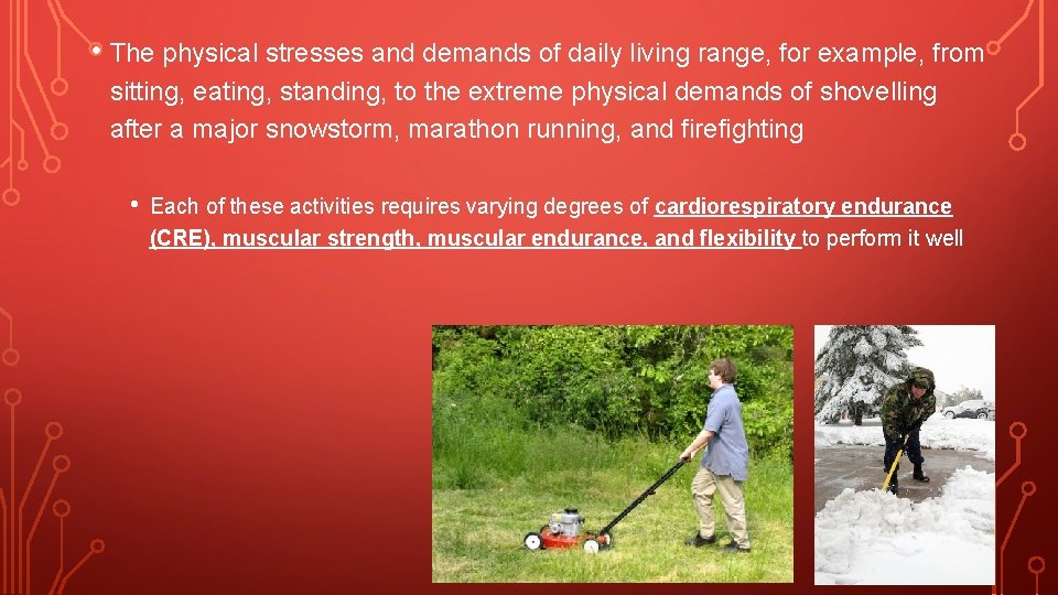 • The physical stresses and demands of daily living range, for example, from • The physical stresses and demands of daily living range, for example, from
