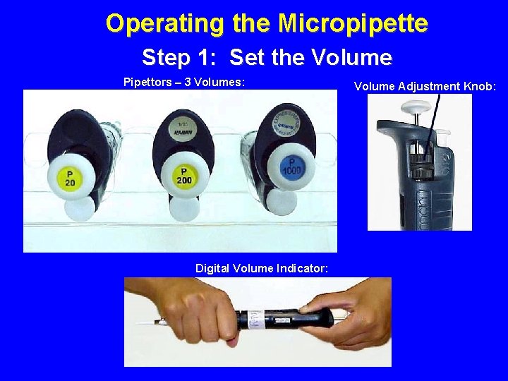 Operating the Micropipette Step 1: Set the Volume Pipettors – 3 Volumes: Digital Volume