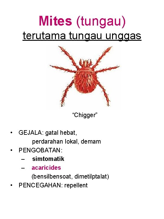 Mites (tungau) terutama tungau unggas “Chigger” • GEJALA: gatal hebat, perdarahan lokal, demam •