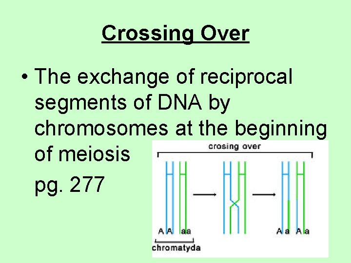 Crossing Over • The exchange of reciprocal segments of DNA by chromosomes at the
