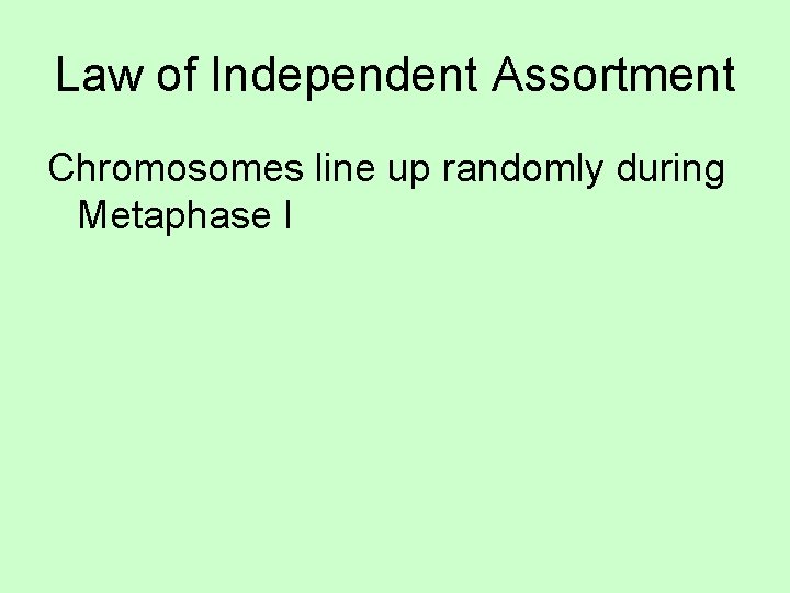 Law of Independent Assortment Chromosomes line up randomly during Metaphase I 