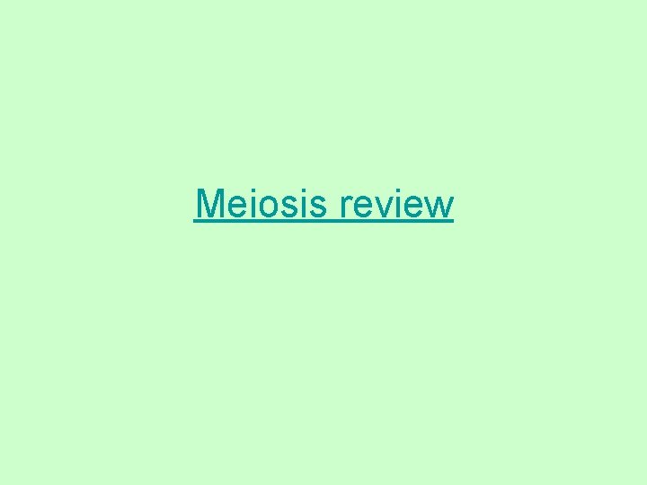 Meiosis review 