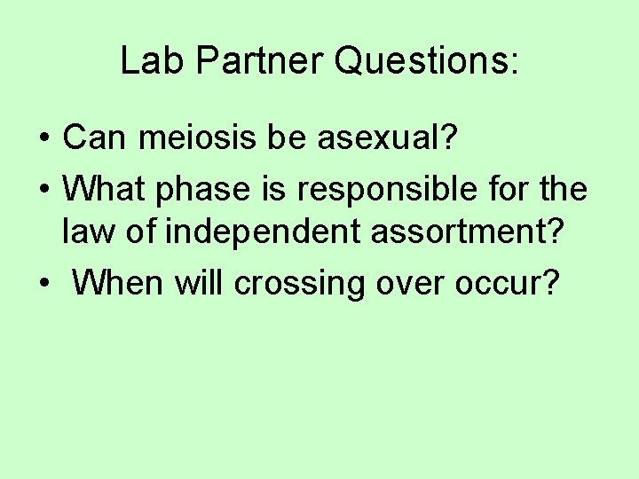 Lab Partner Questions: • Can meiosis be asexual? • What phase is responsible for