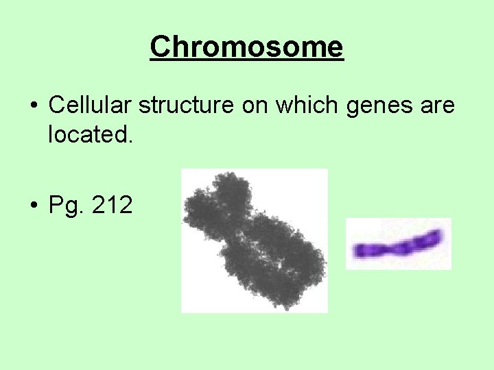 Chromosome • Cellular structure on which genes are located. • Pg. 212 