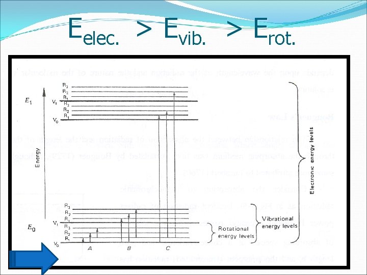 Eelec. > Evib. > Erot. 1/31/2022 Prof. Faten A. Nour El-Dien 