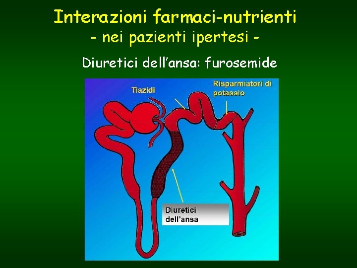 Interazioni farmaci-nutrienti - nei pazienti ipertesi - Diuretici dell’ansa: furosemide 