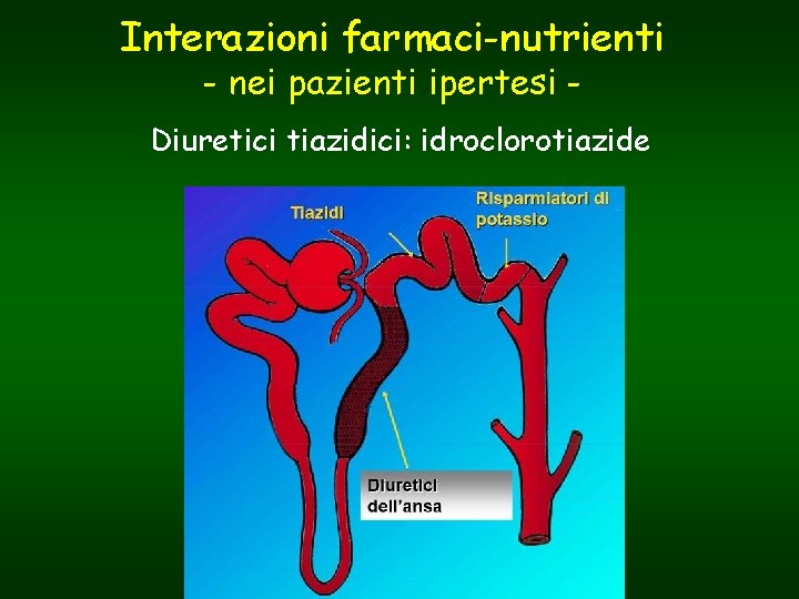 Interazioni farmaci-nutrienti - nei pazienti ipertesi - Diuretici tiazidici: idroclorotiazide 