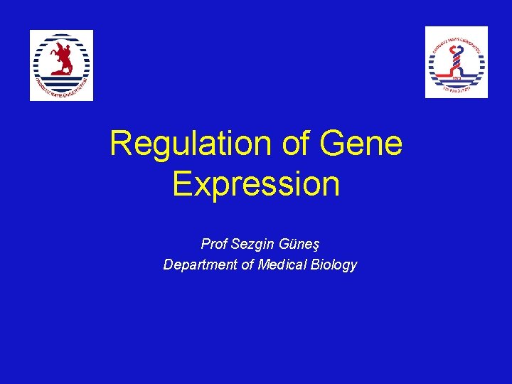 Regulation of Gene Expression Prof Sezgin Güneş Department of Medical Biology 