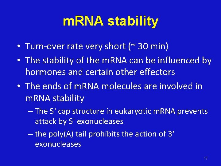 m. RNA stability • Turn-over rate very short (~ 30 min) • The stability