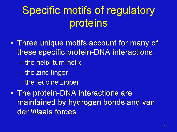 Specific motifs of regulatory proteins • Three unique motifs account for many of these