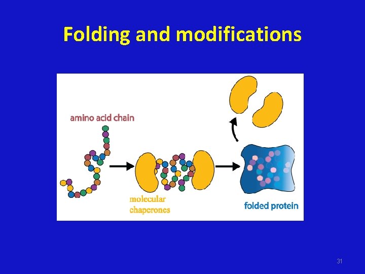 Folding and modifications 31 