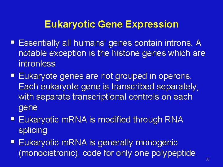 Eukaryotic Gene Expression § Essentially all humans' genes contain introns. A § § §