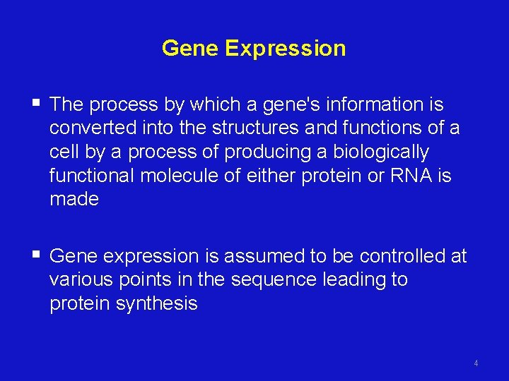 Gene Expression § The process by which a gene's information is converted into the