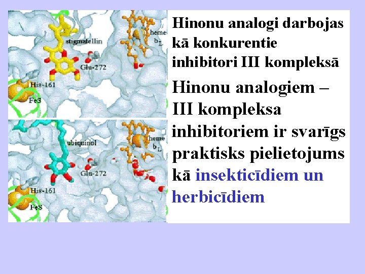 Hinonu analogi darbojas kā konkurentie inhibitori III kompleksā Hinonu analogiem – III kompleksa inhibitoriem