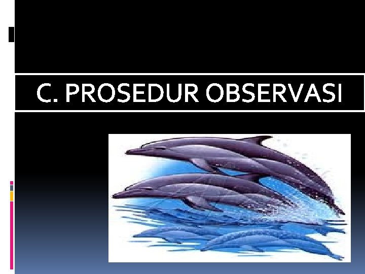 C. PROSEDUR OBSERVASI 