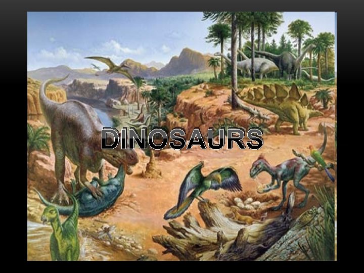 DINOSAURS 