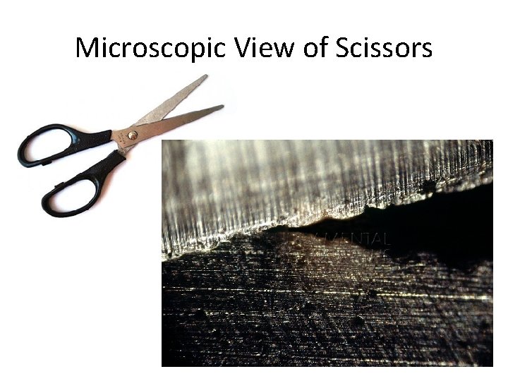 Microscopic View of Scissors 