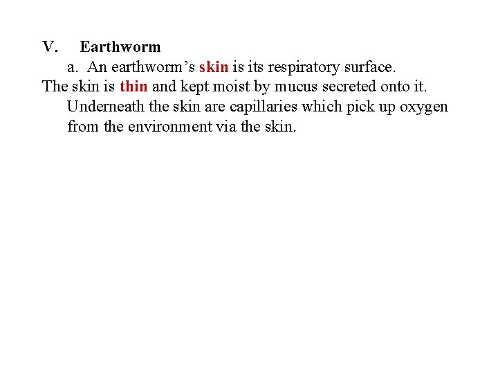 V. Earthworm a. An earthworm’s skin is its respiratory surface. The skin is thin V. Earthworm a. An earthworm’s skin is its respiratory surface. The skin is thin