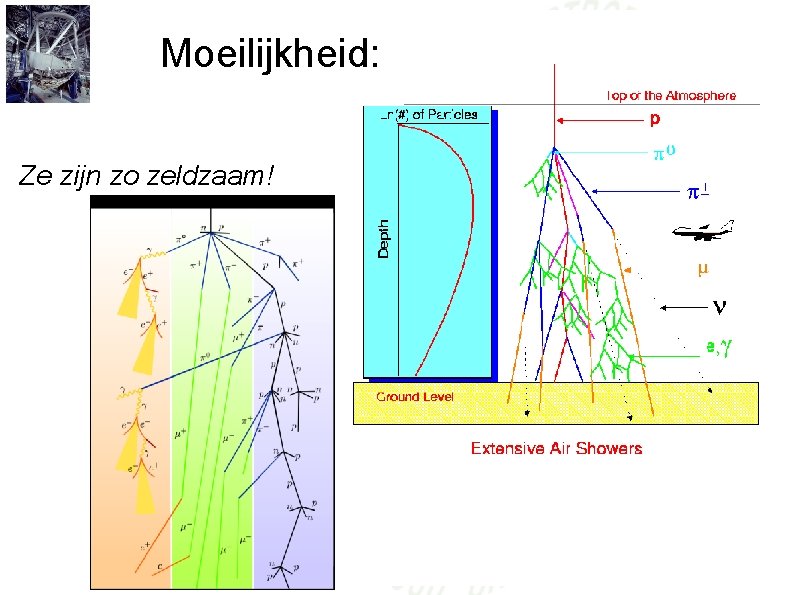 Moeilijkheid: Ze zijn zo zeldzaam! 