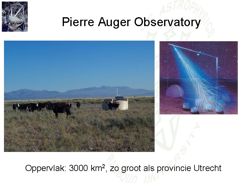Pierre Auger Observatory Oppervlak: 3000 km 2, zo groot als provincie Utrecht 