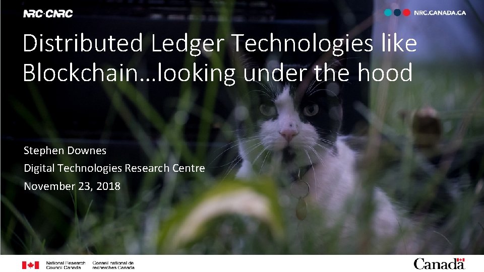 Distributed Ledger Technologies like Blockchain…looking under the hood Stephen Downes Digital Technologies Research Centre