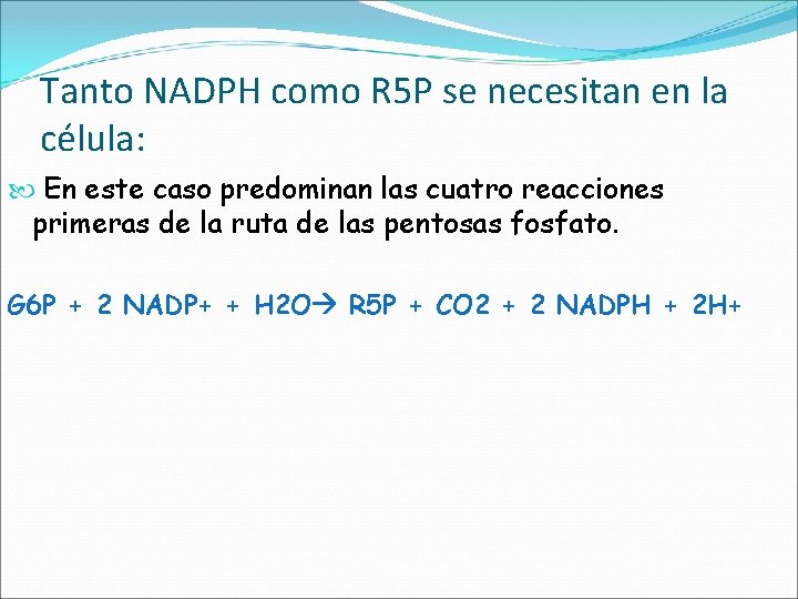 Tanto NADPH como R 5 P se necesitan en la célula: En este caso