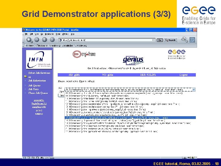 Grid Demonstrator applications (3/3) EGEE tutorial, Roma, 03. 02. 2005 - 18 