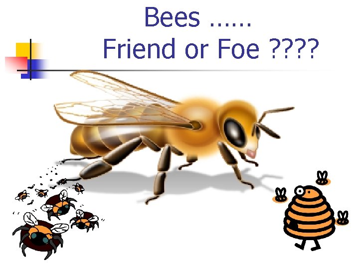 Bees …… Friend or Foe ? ? 