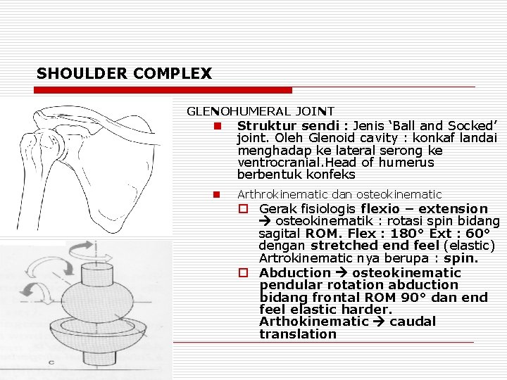 SHOULDER COMPLEX GLENOHUMERAL JOINT n Struktur sendi : Jenis ‘Ball and Socked’ joint. Oleh