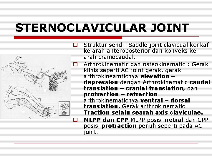 STERNOCLAVICULAR JOINT o o o Struktur sendi : Saddle joint clavicual konkaf ke arah