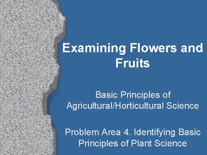 Examining Flowers and Fruits Basic Principles of Agricultural/Horticultural Science Problem Area 4. Identifying Basic