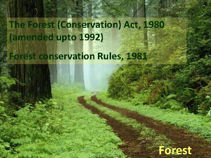 The Forest (Conservation) Act, 1980 (amended upto 1992) Forest conservation Rules, 1981 Forest 