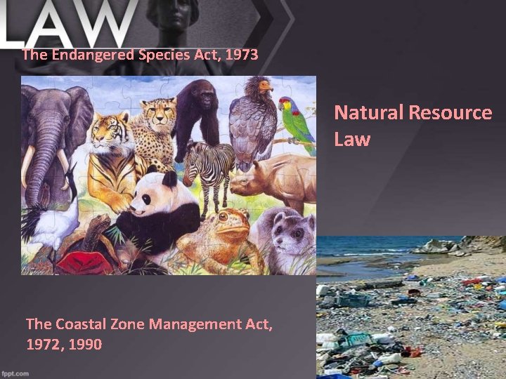 The Endangered Species Act, 1973 Natural Resource Law The Coastal Zone Management Act, 1972,