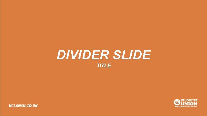 DIVIDER SLIDE TITLE 