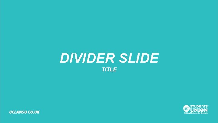 DIVIDER SLIDE TITLE 