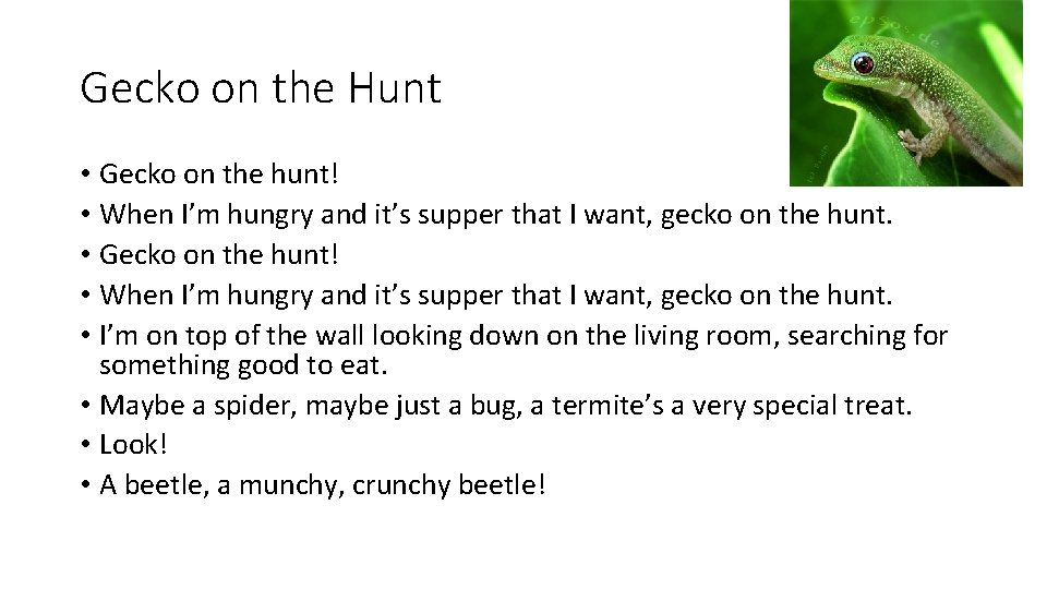 Gecko on the Hunt • Gecko on the hunt! • When I’m hungry and