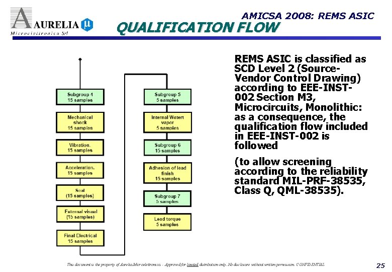 AMICSA 2008: REMS ASIC QUALIFICATION FLOW REMS ASIC is classified as SCD Level 2