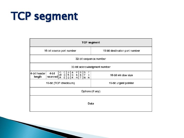 TCP segment 